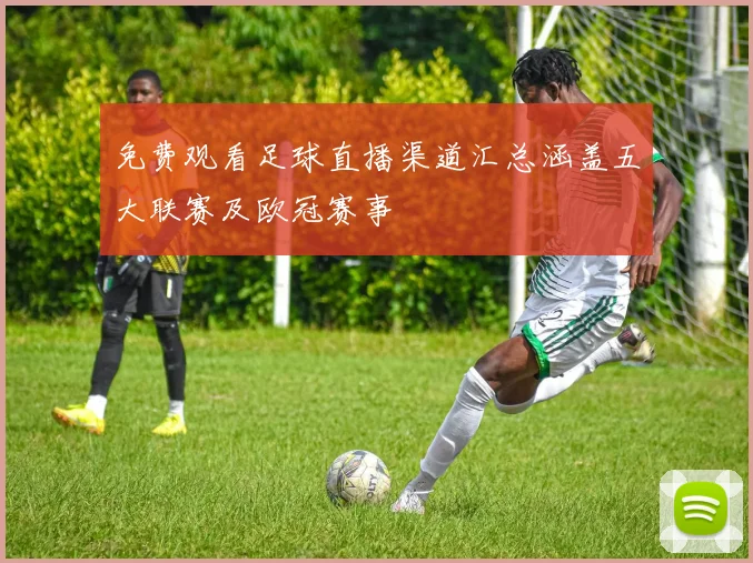 免费观看足球直播渠道汇总涵盖五大联赛及欧冠赛事