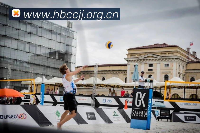 半岛在线登录官网平台生态图