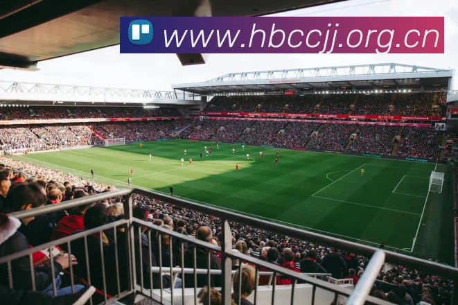 半岛在线登录官网APP 封面图